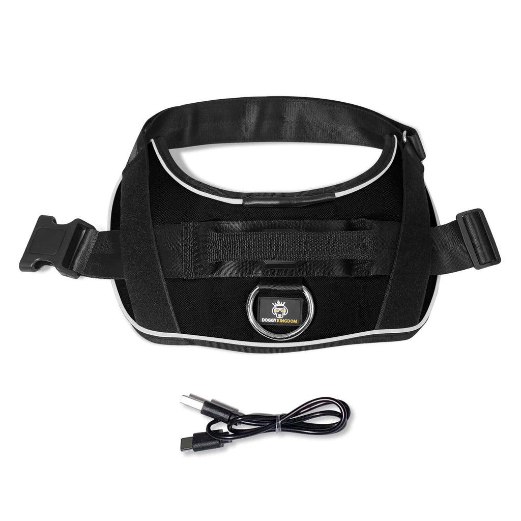 Harness LED POD