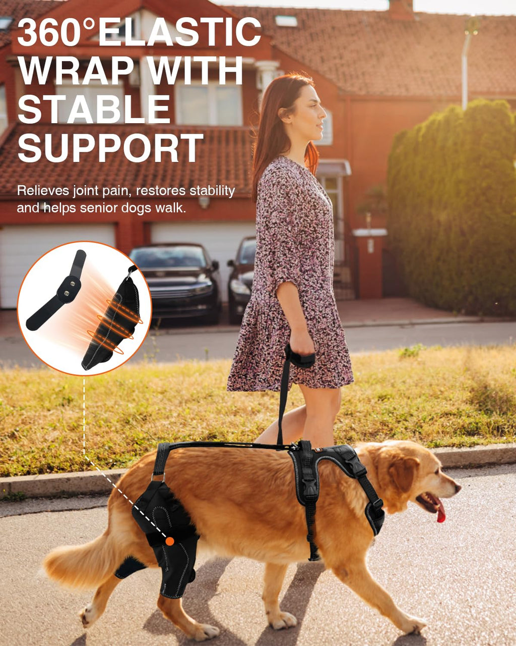 LISPOO Dog Knee Brace – Rear Leg Support for Luxating Patella,Both Legs