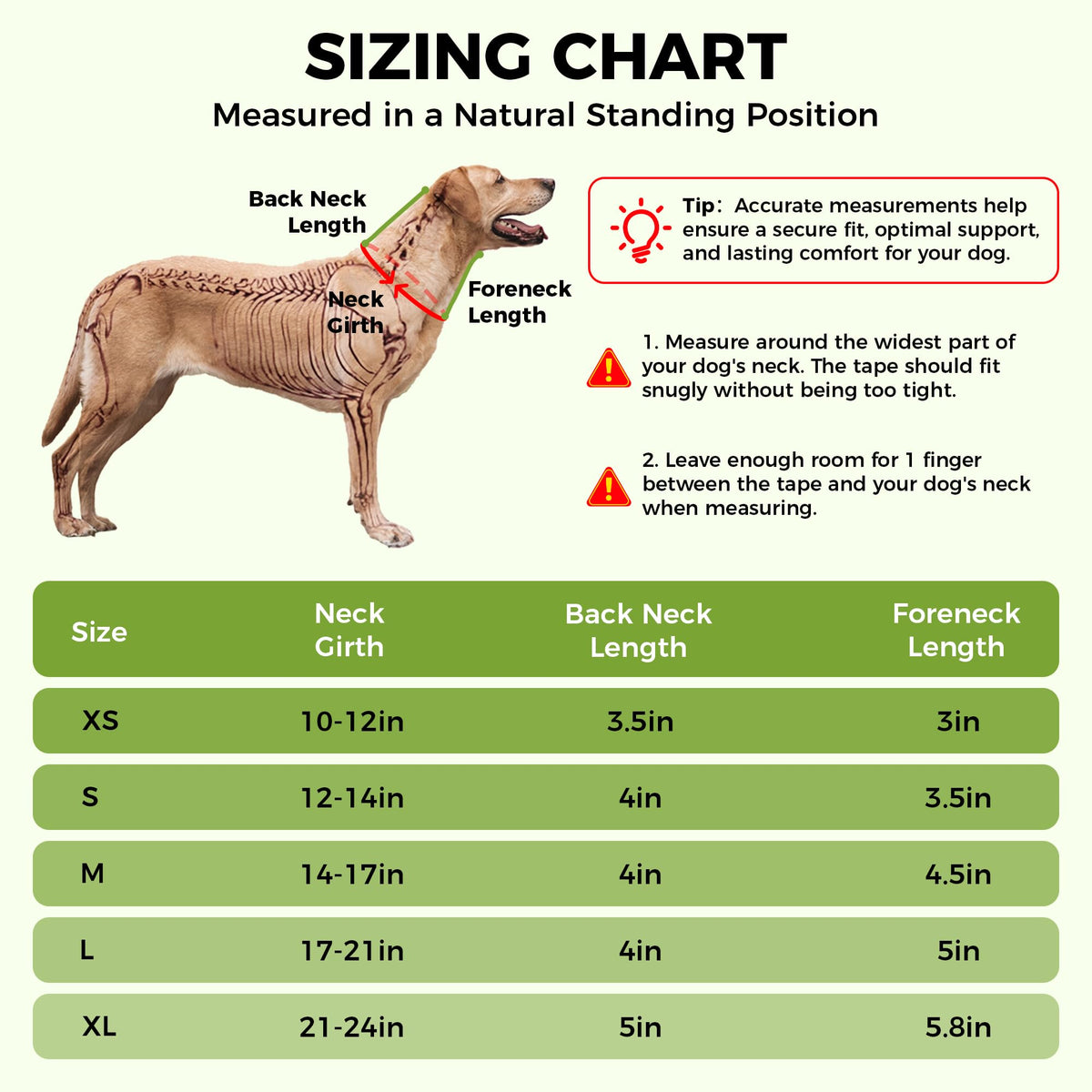 Dog Neck Support Brace for Large Breeds, Cervical Recovery Collar