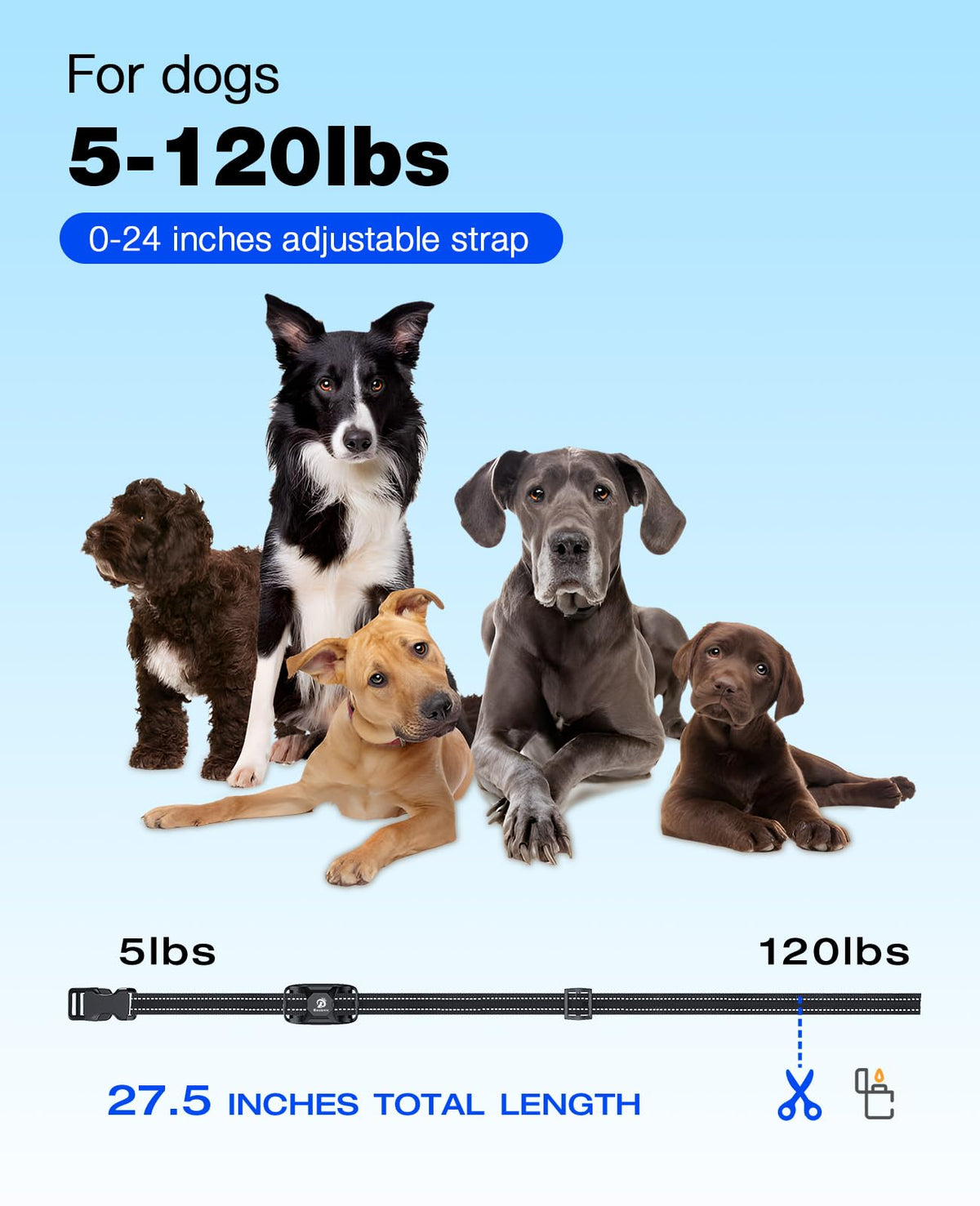Bousnic Dog Training Collar with Remote