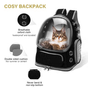 Transparent Cat Backpack Carrier with Breathable Design, Up to 15lbs