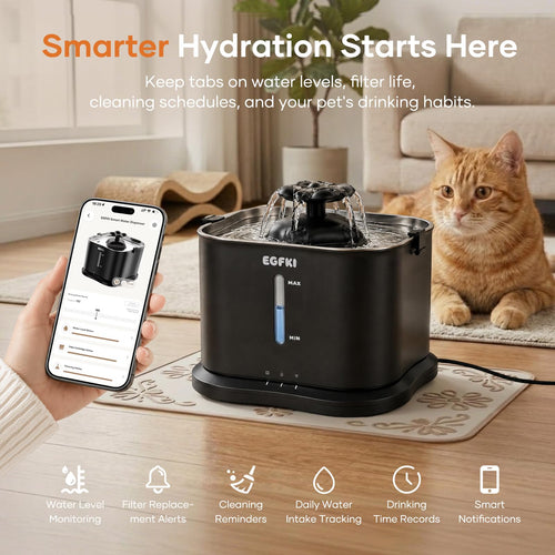 Cat Water Fountain