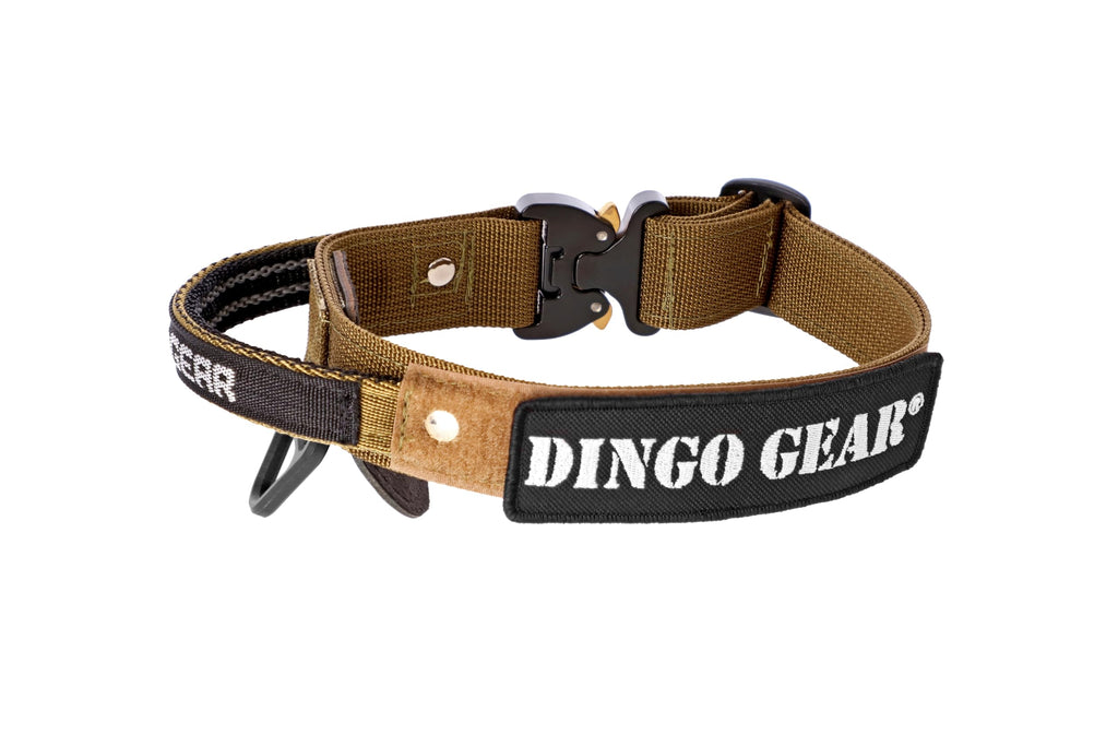 Professional Dog Training Collar with Safety Buckle & Handle, 43–47cm