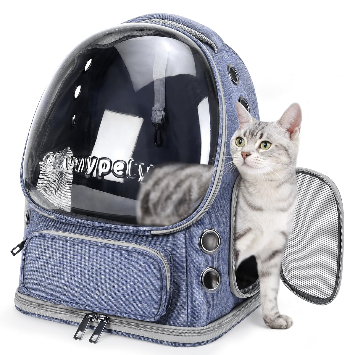 Transparent Cat Backpack Carrier with Breathable Design, Up to 15lbs
