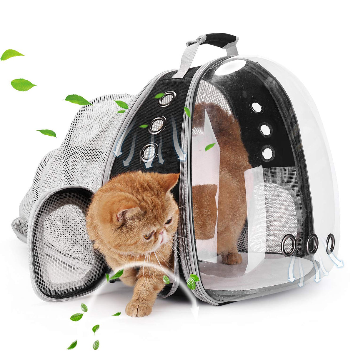 Bubble Pet Carrier Backpack for Cats & Puppies, Airline Approved