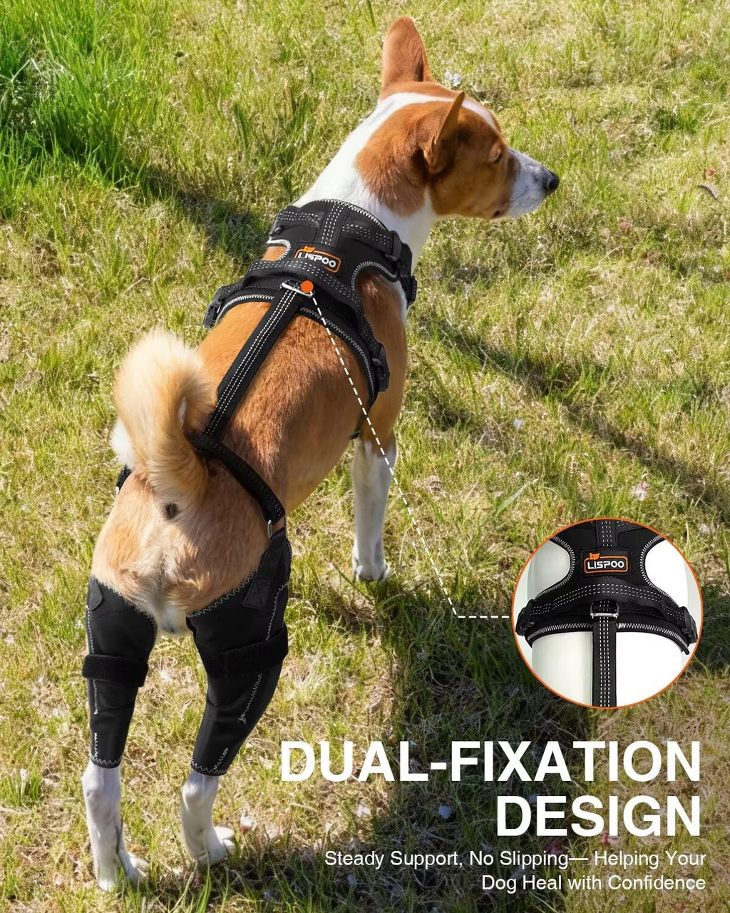 LISPOO Dog Knee Brace – Rear Leg Support for Luxating Patella,Both Legs