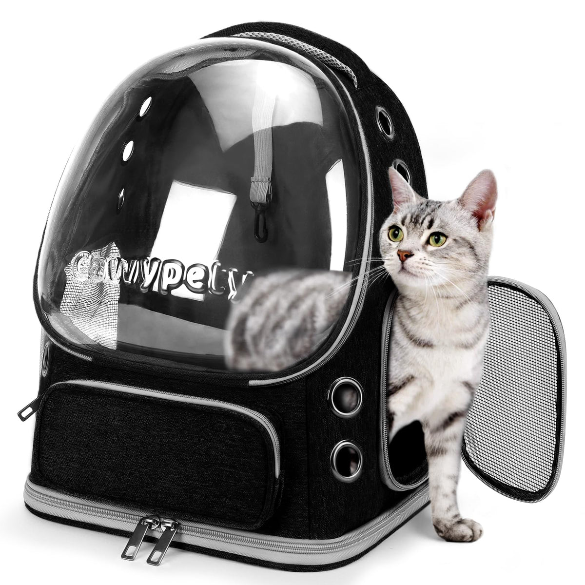 Transparent Cat Backpack Carrier with Breathable Design, Up to 15lbs
