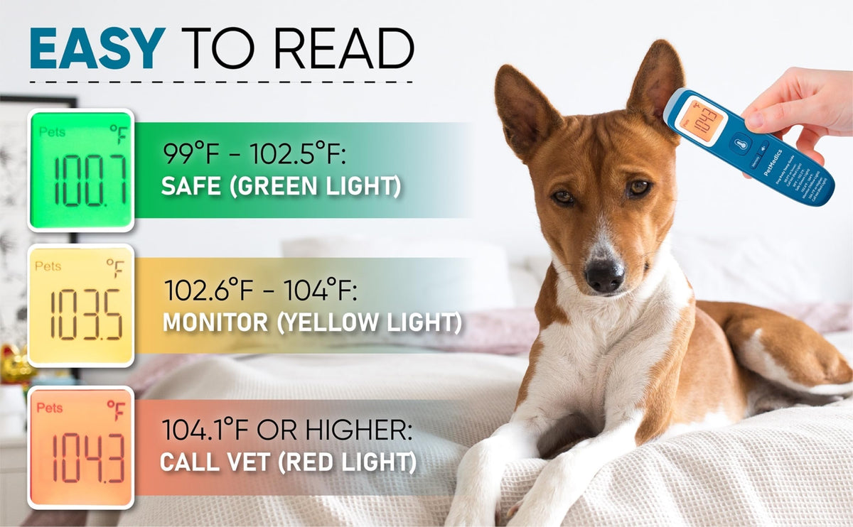 Non-Contact Pet Thermometer for Dogs & Cats with Digital Display