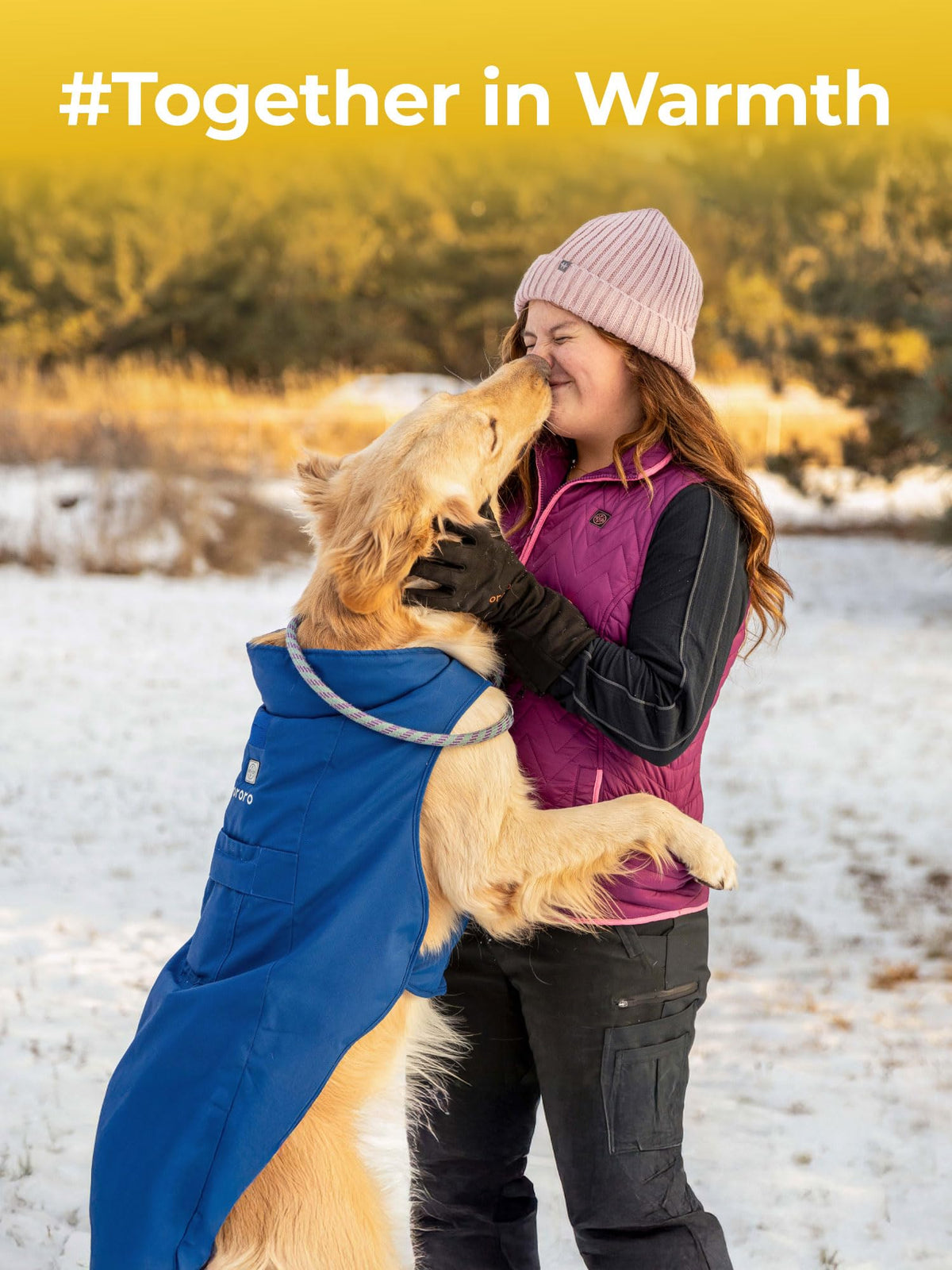 Heated Dog Vest with Battery & Reflective Strips, 4 Heating Zones