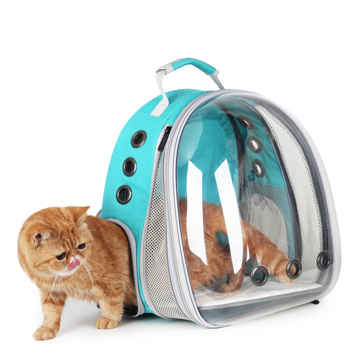 Bubble Pet Carrier Backpack for Cats & Puppies, Airline Approved