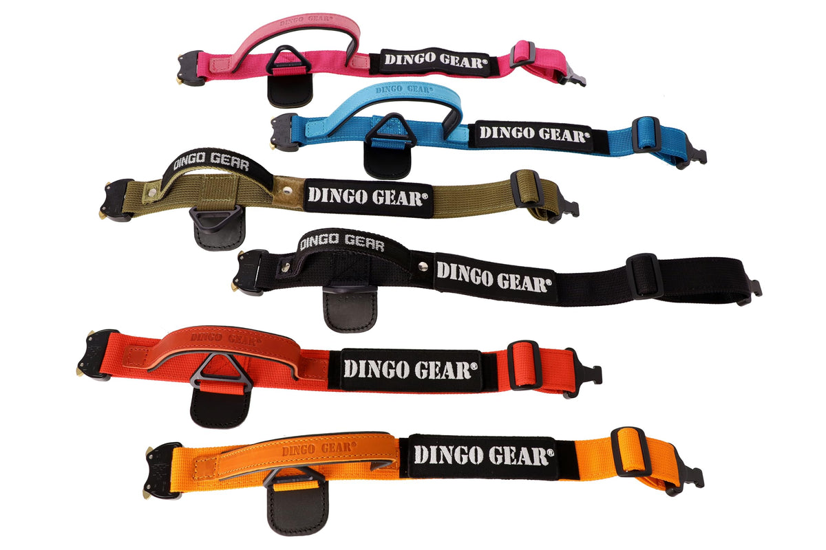 Professional Dog Training Collar with Safety Buckle & Handle, 43–47cm