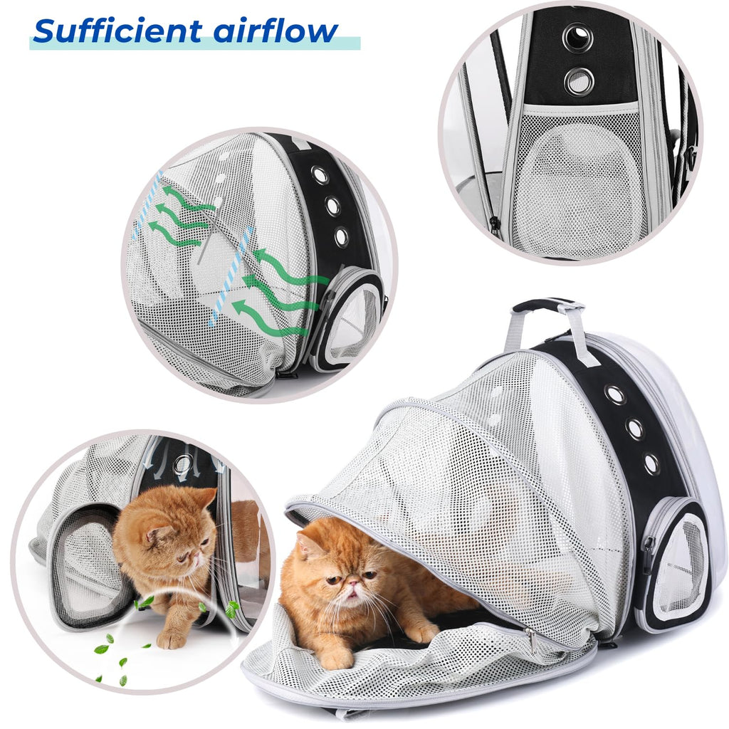 Bubble Pet Carrier Backpack for Cats & Puppies, Airline Approved