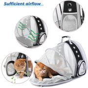 Bubble Pet Carrier Backpack for Cats & Puppies, Airline Approved