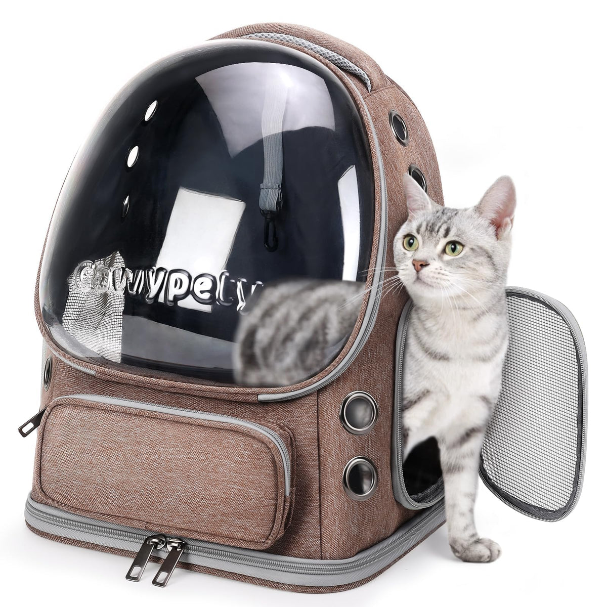 Transparent Cat Backpack Carrier with Breathable Design, Up to 15lbs