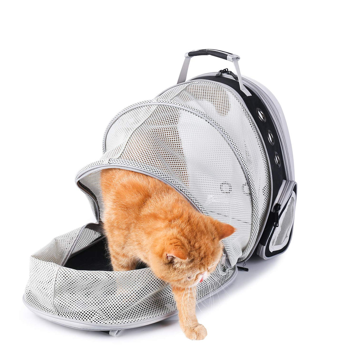 Bubble Pet Carrier Backpack for Cats & Puppies, Airline Approved