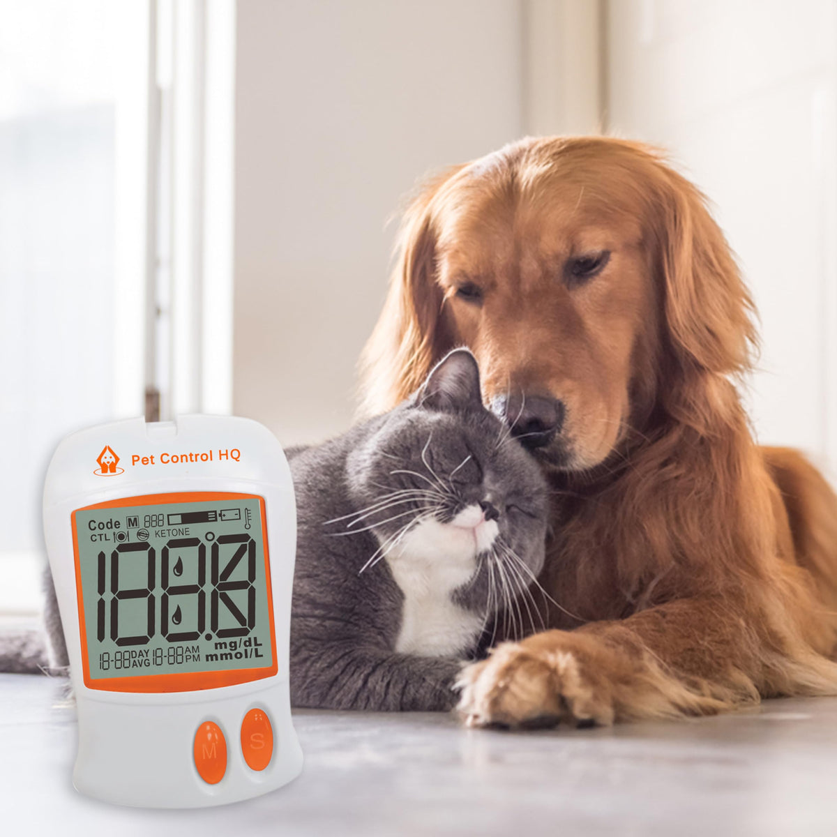 Pet Blood Glucose Monitoring Kit for Dogs & Cats with Test Strips