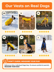 Heated Dog Vest with Battery & Reflective Strips, 4 Heating Zones