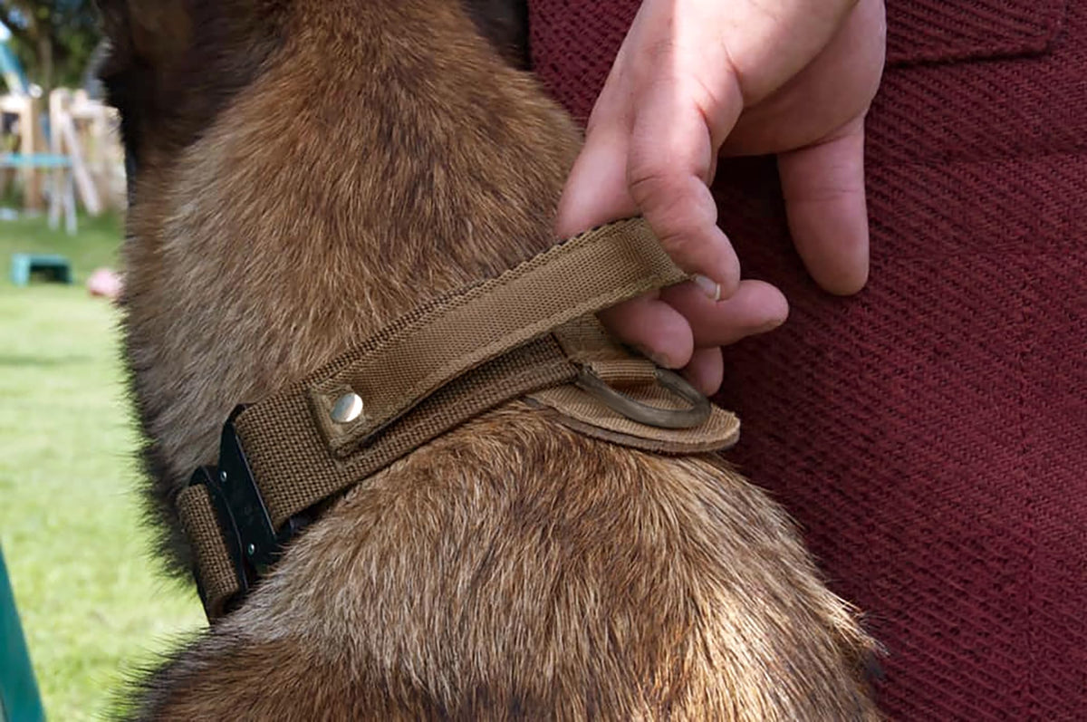 Professional Dog Training Collar with Safety Buckle & Handle, 43–47cm