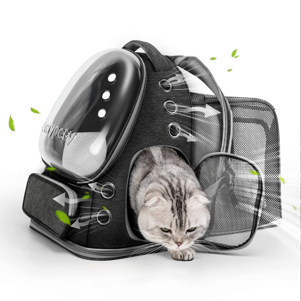 Transparent Cat Backpack Carrier with Breathable Design, Up to 15lbs