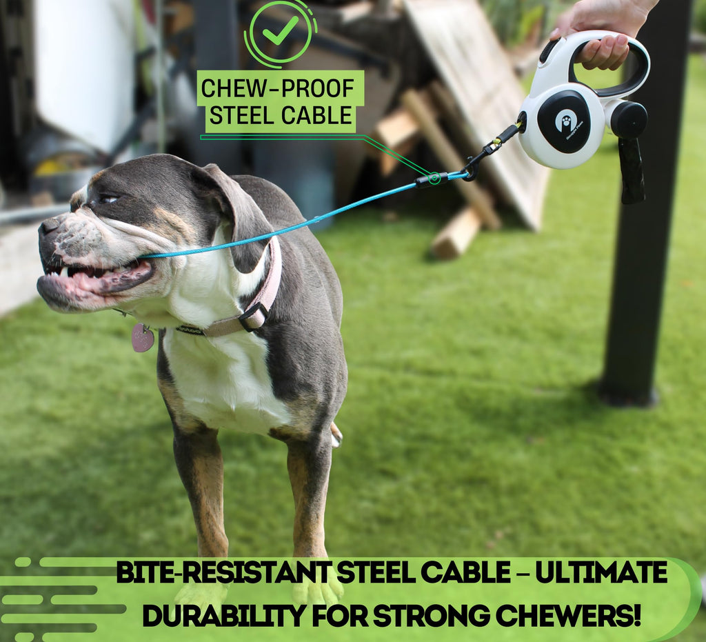 16ft Retractable Dog Leash with LED Light & Reflective Design