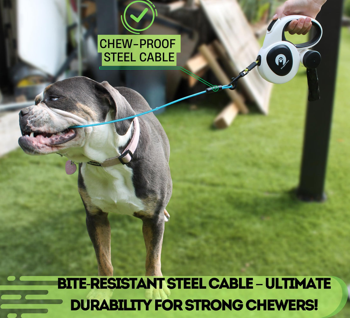 16ft Retractable Dog Leash with LED Light & Reflective Design
