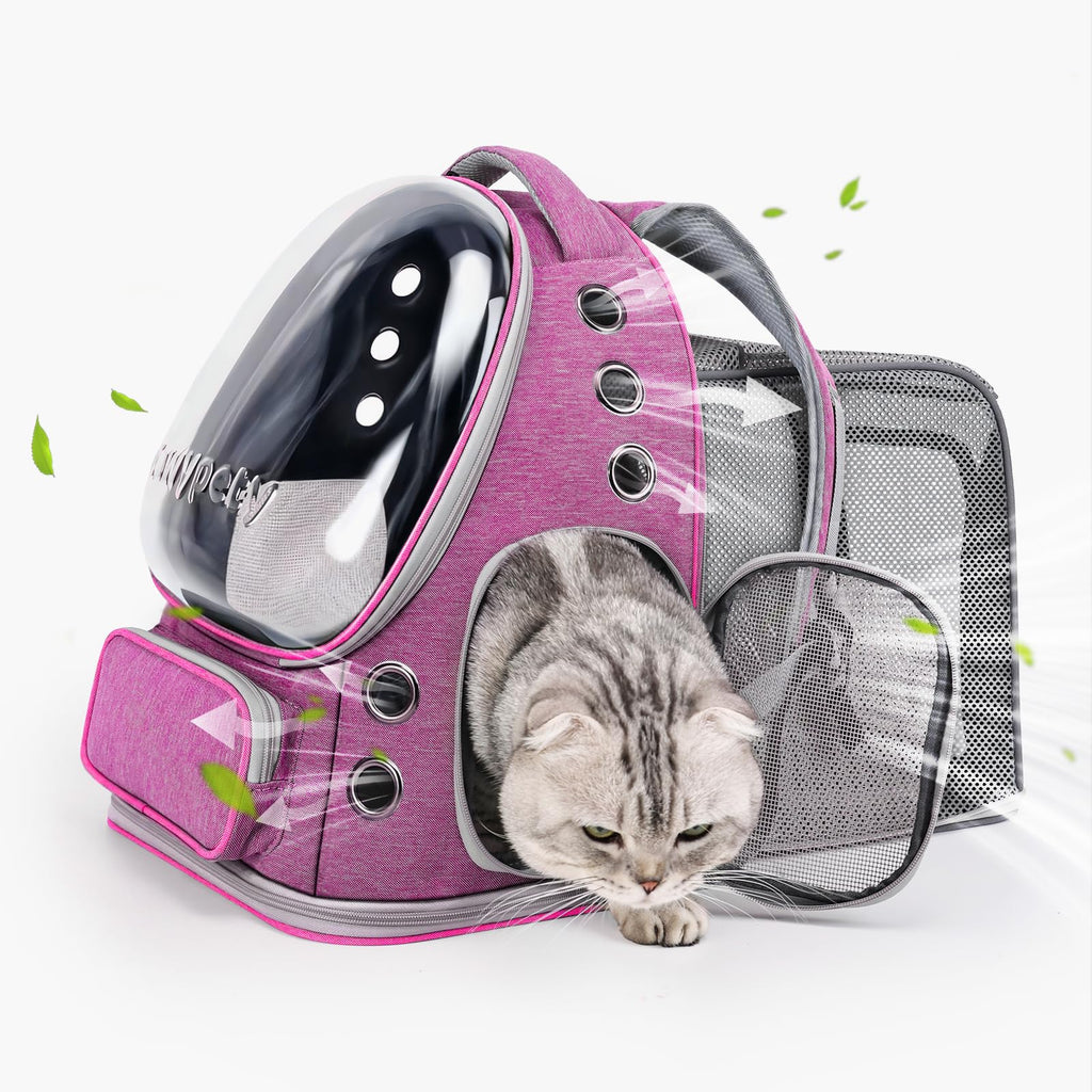 Transparent Cat Backpack Carrier with Breathable Design, Up to 15lbs