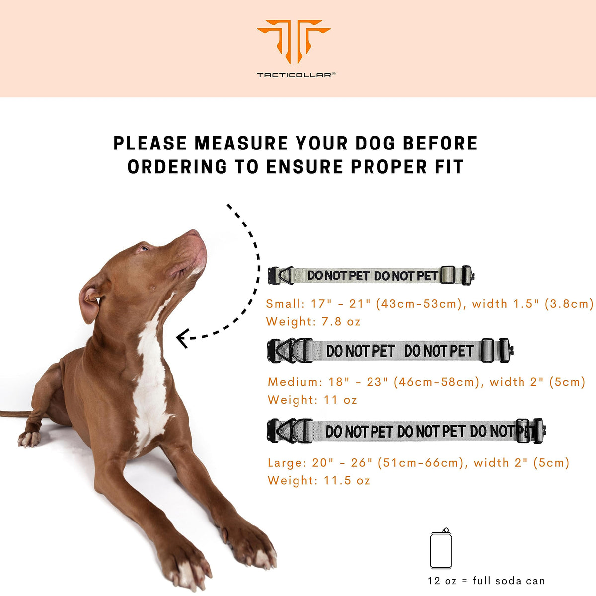 2-Inch Nylon Dog Collar with Neoprene Padding & Safety Message