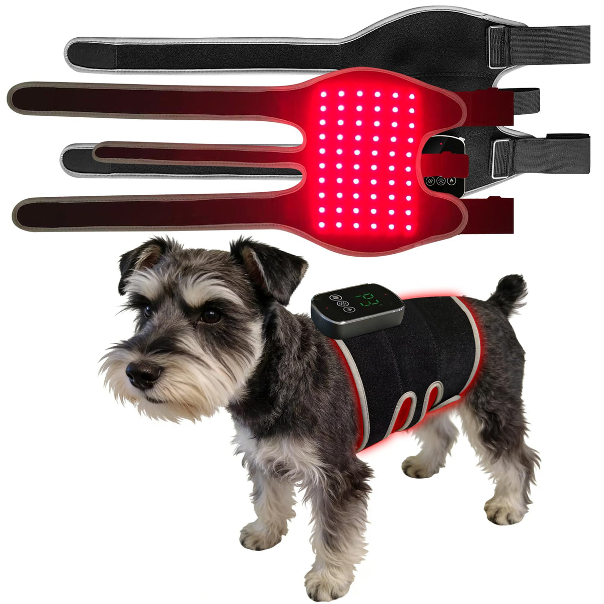 Red Light Therapy Pet Massager with 660nm & 850nm Infrared Light