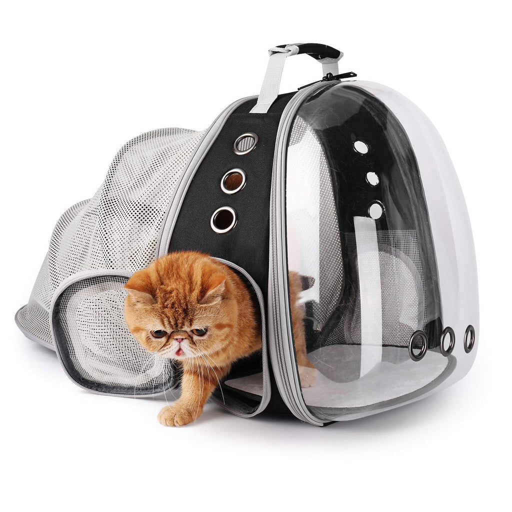 Bubble Pet Carrier Backpack for Cats & Puppies, Airline Approved