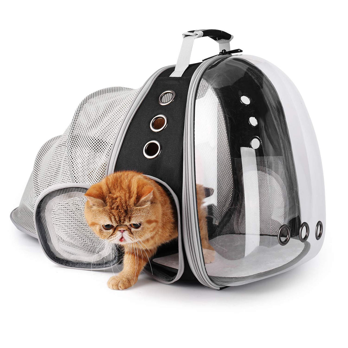 Bubble Pet Carrier Backpack for Cats & Puppies, Airline Approved