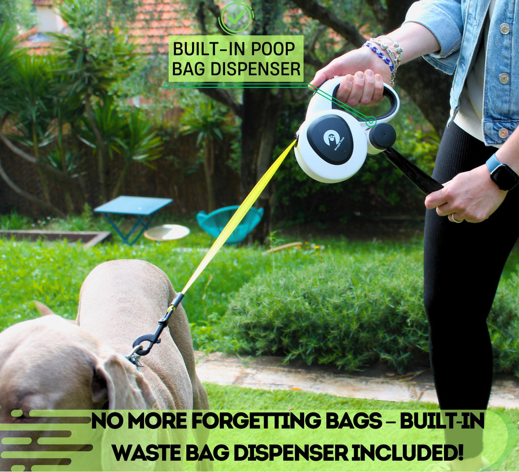 16ft Retractable Dog Leash with LED Light & Reflective Design