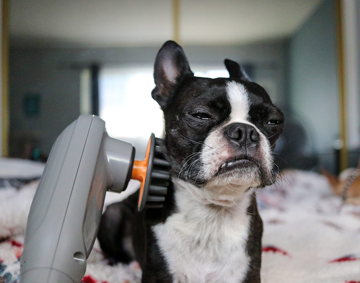 Percussion Pet Massager for Dogs & Cats, Muscle Relaxation Tool