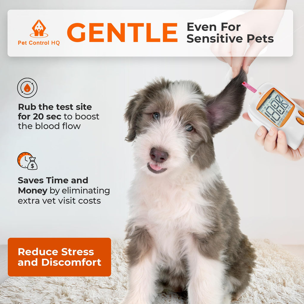 Pet Blood Glucose Monitoring Kit for Dogs & Cats with Test Strips