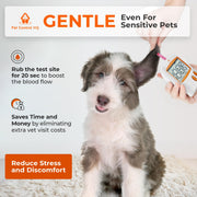 Pet Blood Glucose Monitoring Kit for Dogs & Cats with Test Strips