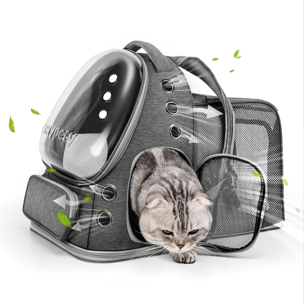 Transparent Cat Backpack Carrier with Breathable Design, Up to 15lbs