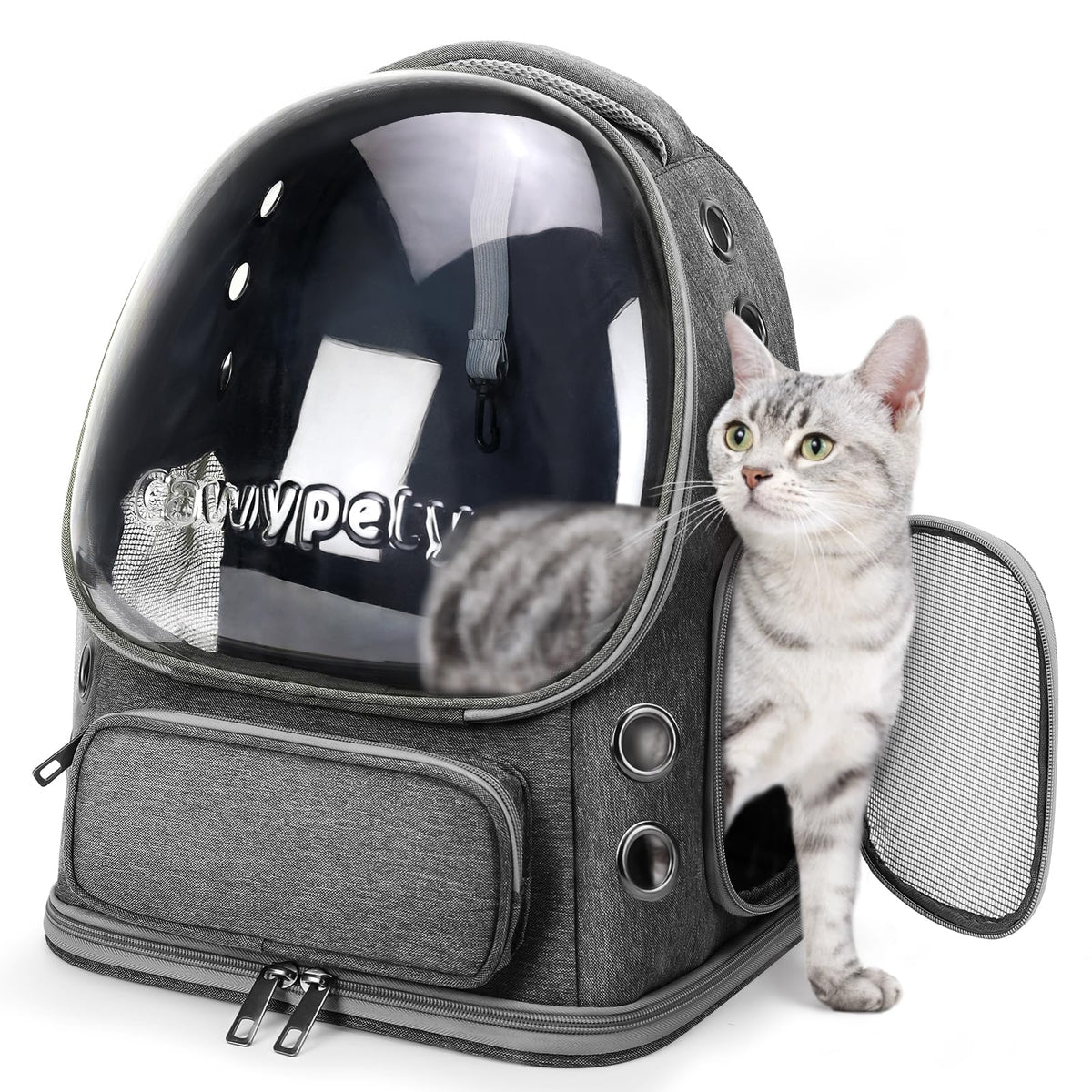 Transparent Cat Backpack Carrier with Breathable Design, Up to 15lbs