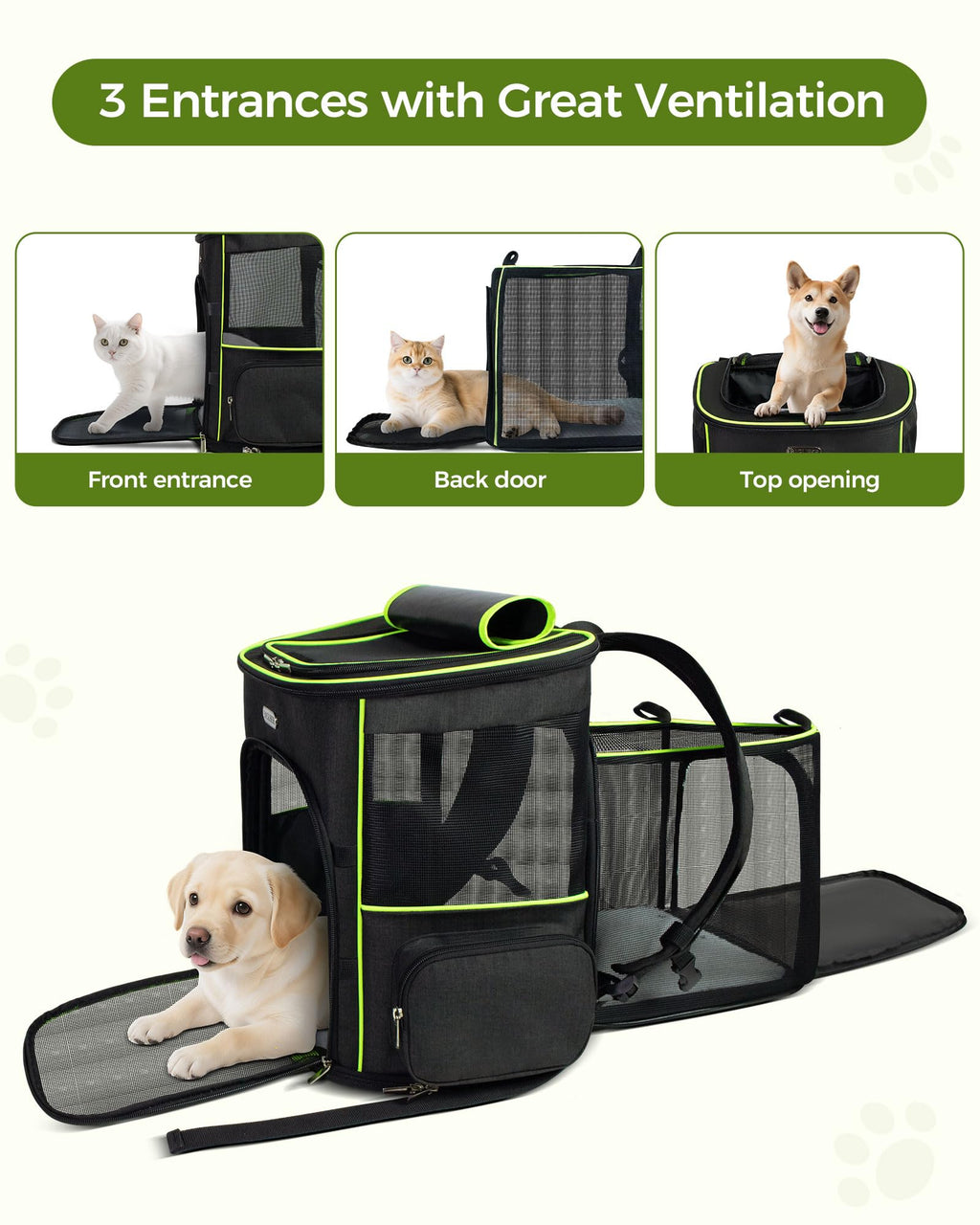 Airline Approved Pet Travel Backpack for Small & Medium Cats and Dogs