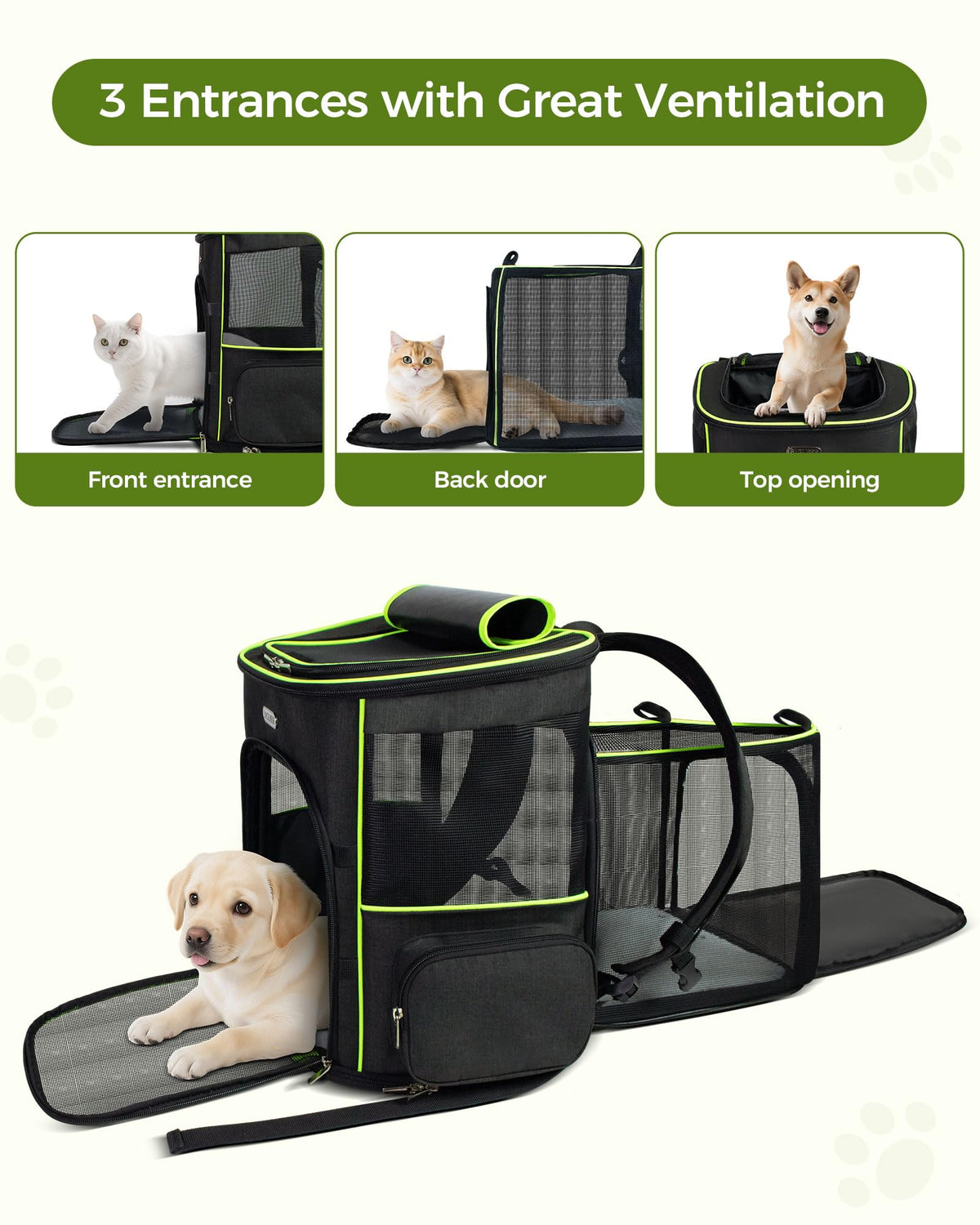Airline Approved Pet Travel Backpack for Small & Medium Cats and Dogs