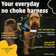 Harness LED POD