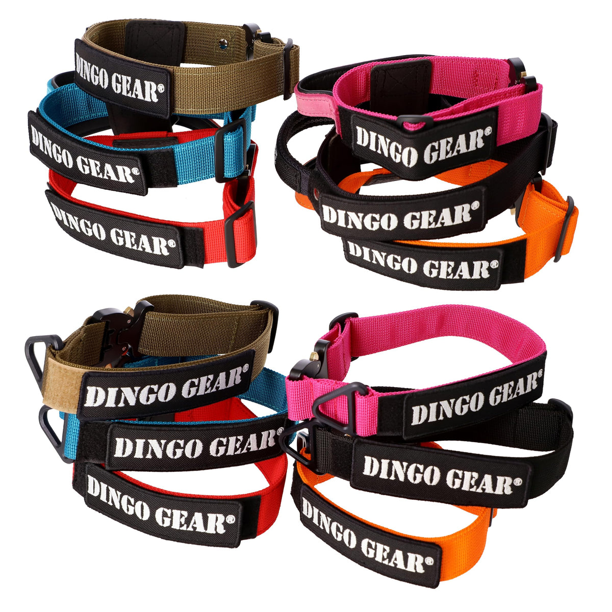 Professional Dog Training Collar with Safety Buckle & Handle, 43–47cm