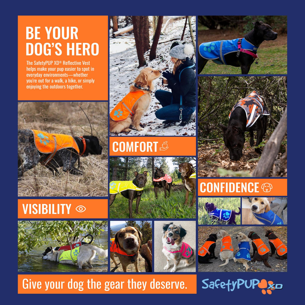 Reflective Dog Vest, Hi Vis Safety Gear for Low-Light Morning & Night Walks