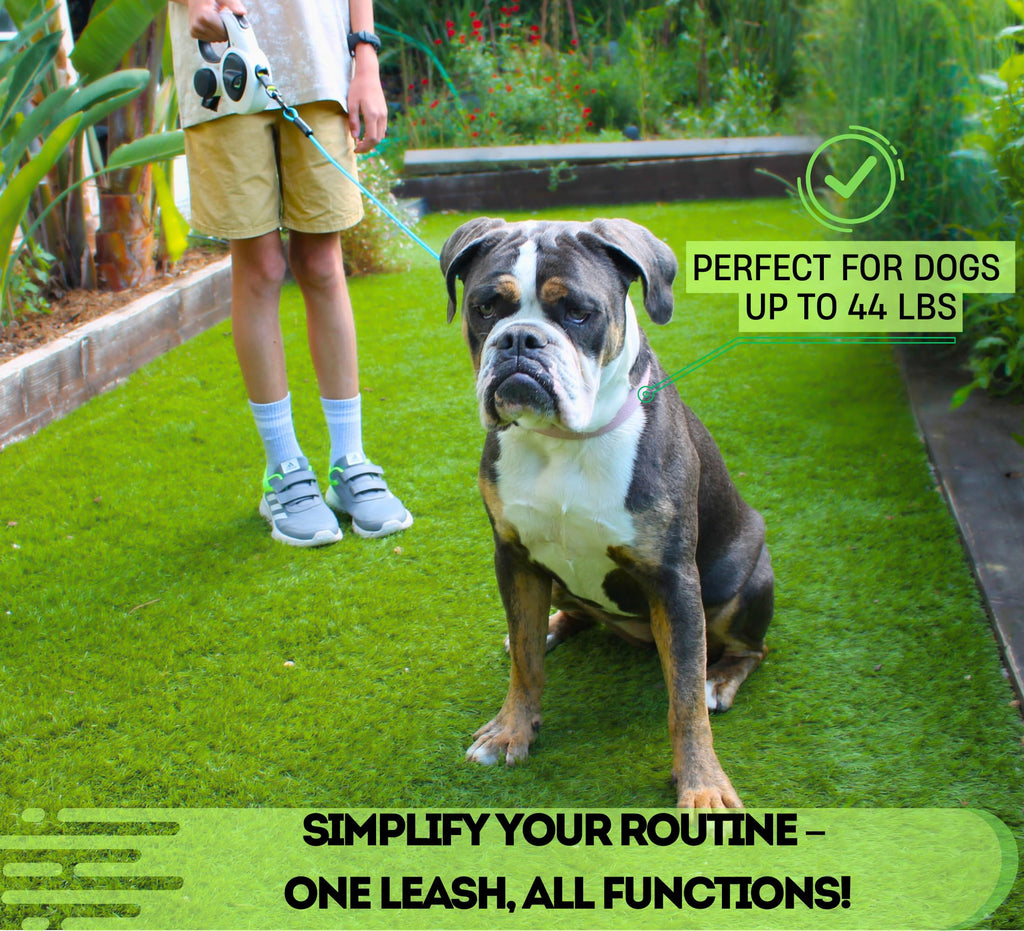 16ft Retractable Dog Leash with LED Light & Reflective Design