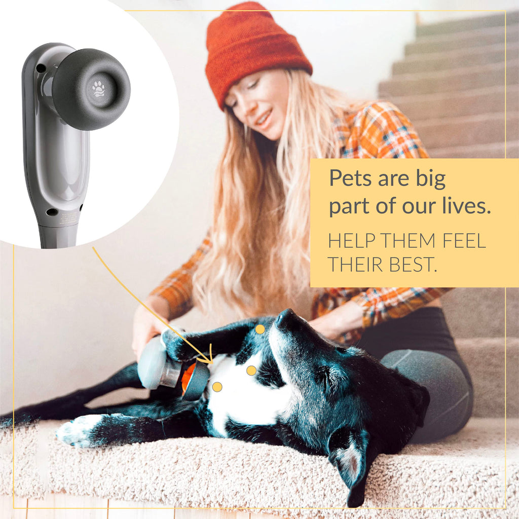 Percussion Pet Massager for Dogs & Cats, Muscle Relaxation Tool