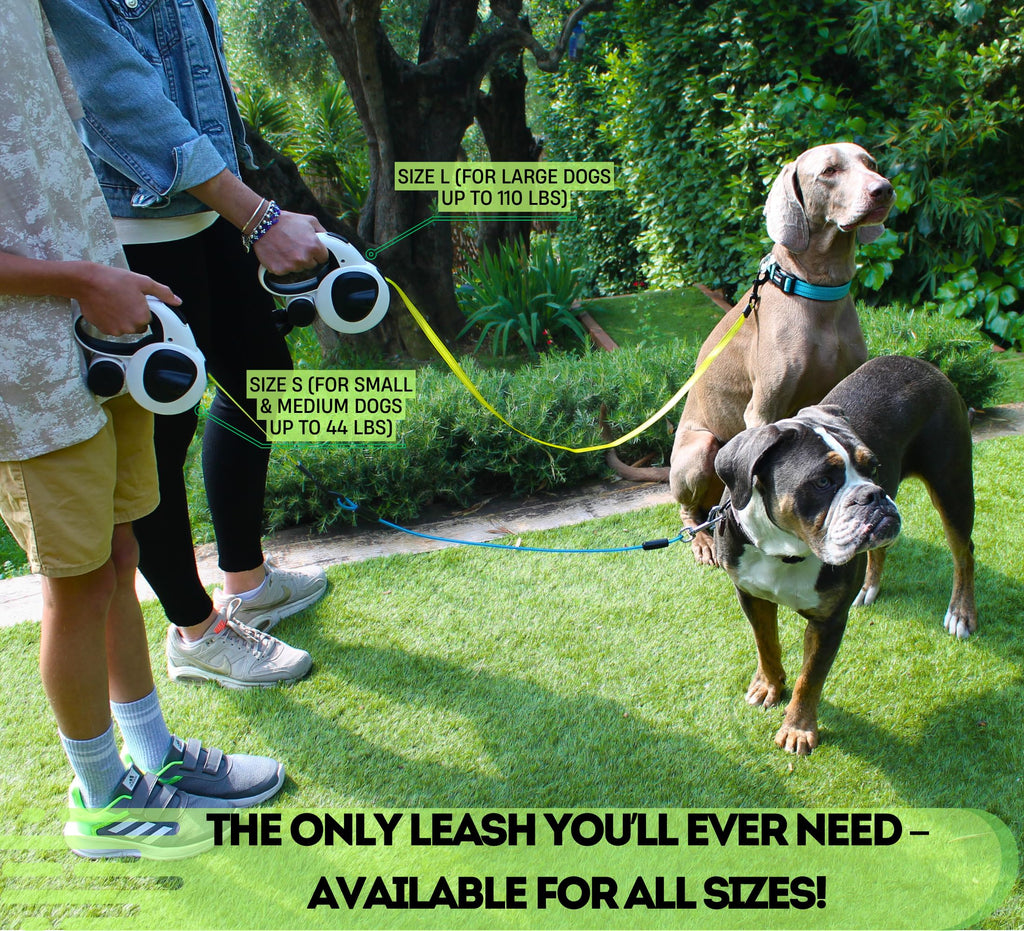 16ft Retractable Dog Leash with LED Light & Reflective Design